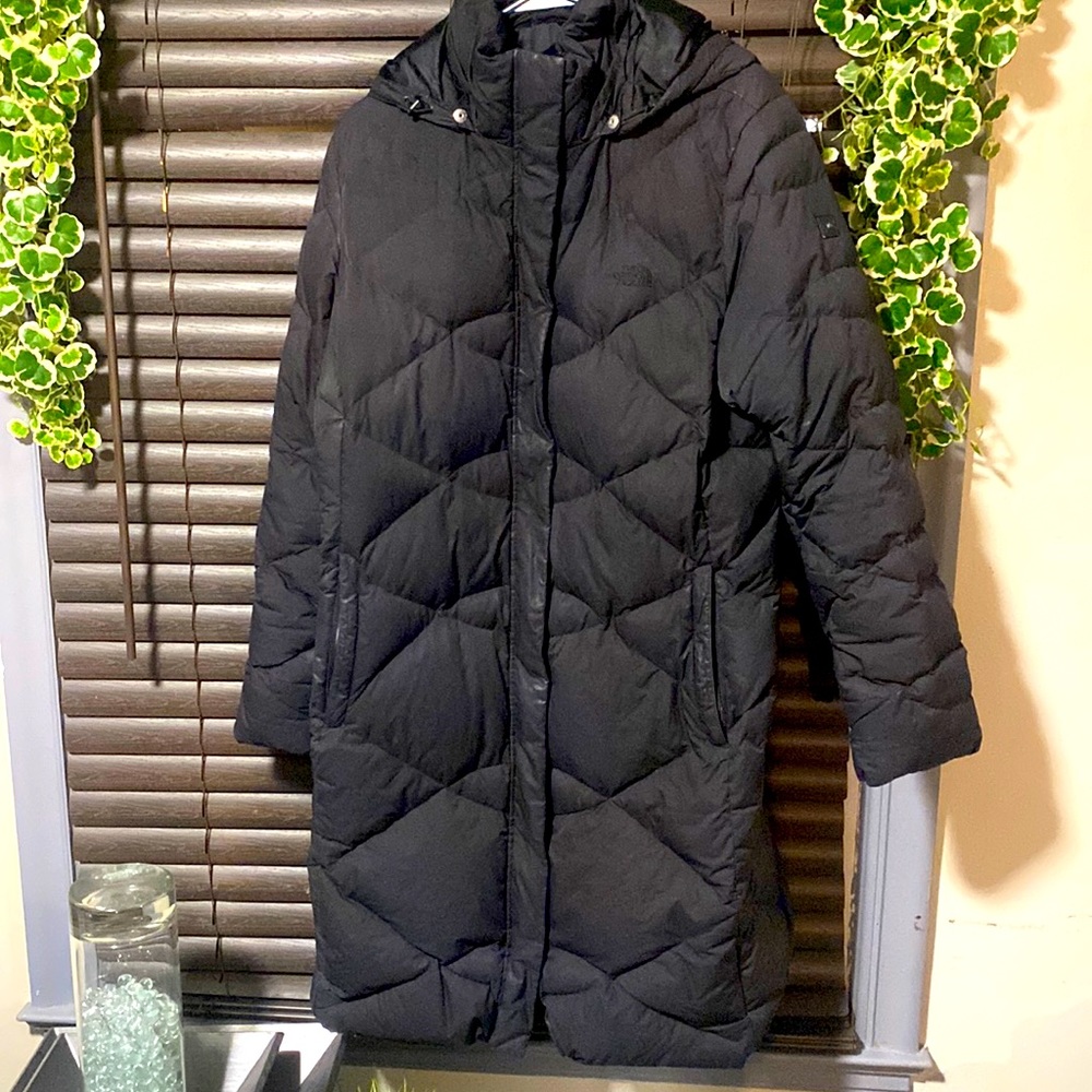 Northface Parka - image 1